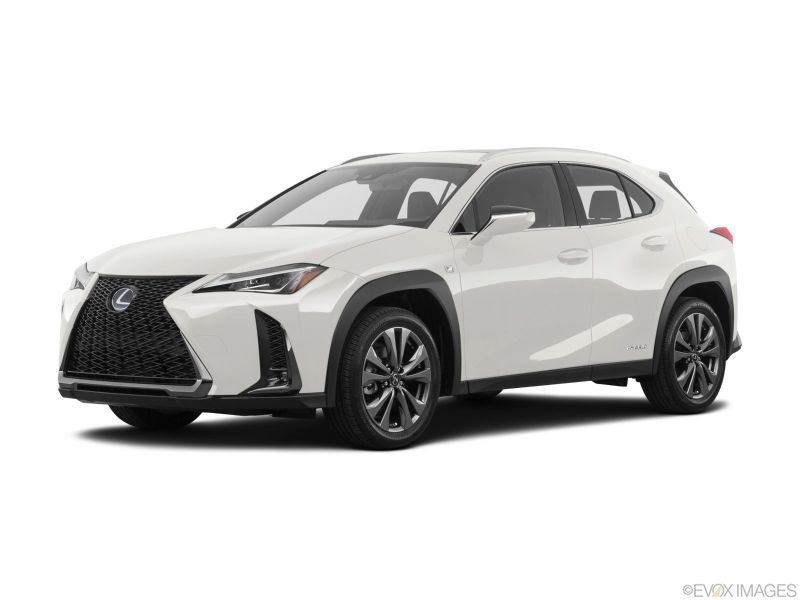 Lexus UX250h F Sport Hybrid Langzeitmiete in Miami, Florida