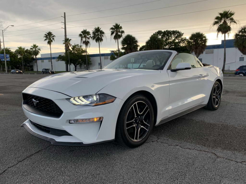 Ford Mustang rental