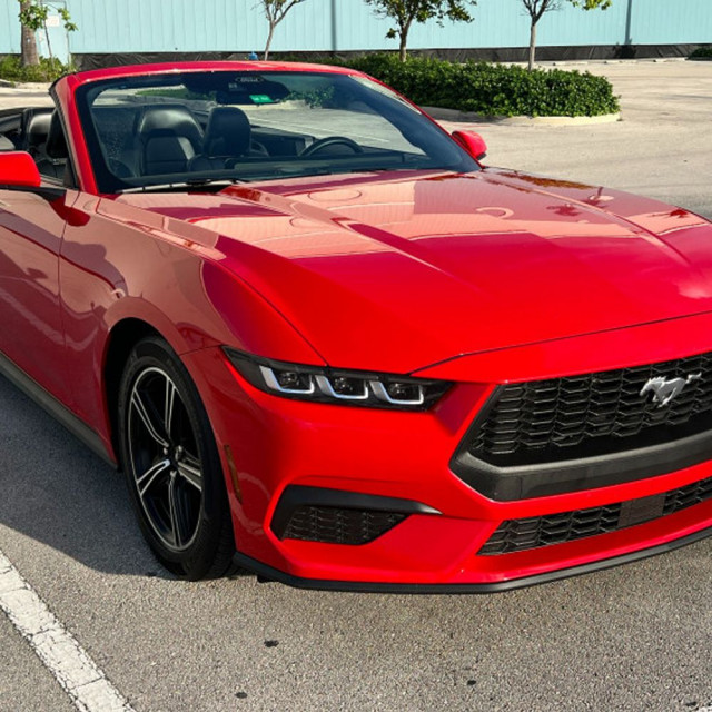 alquiler de coche ford miami